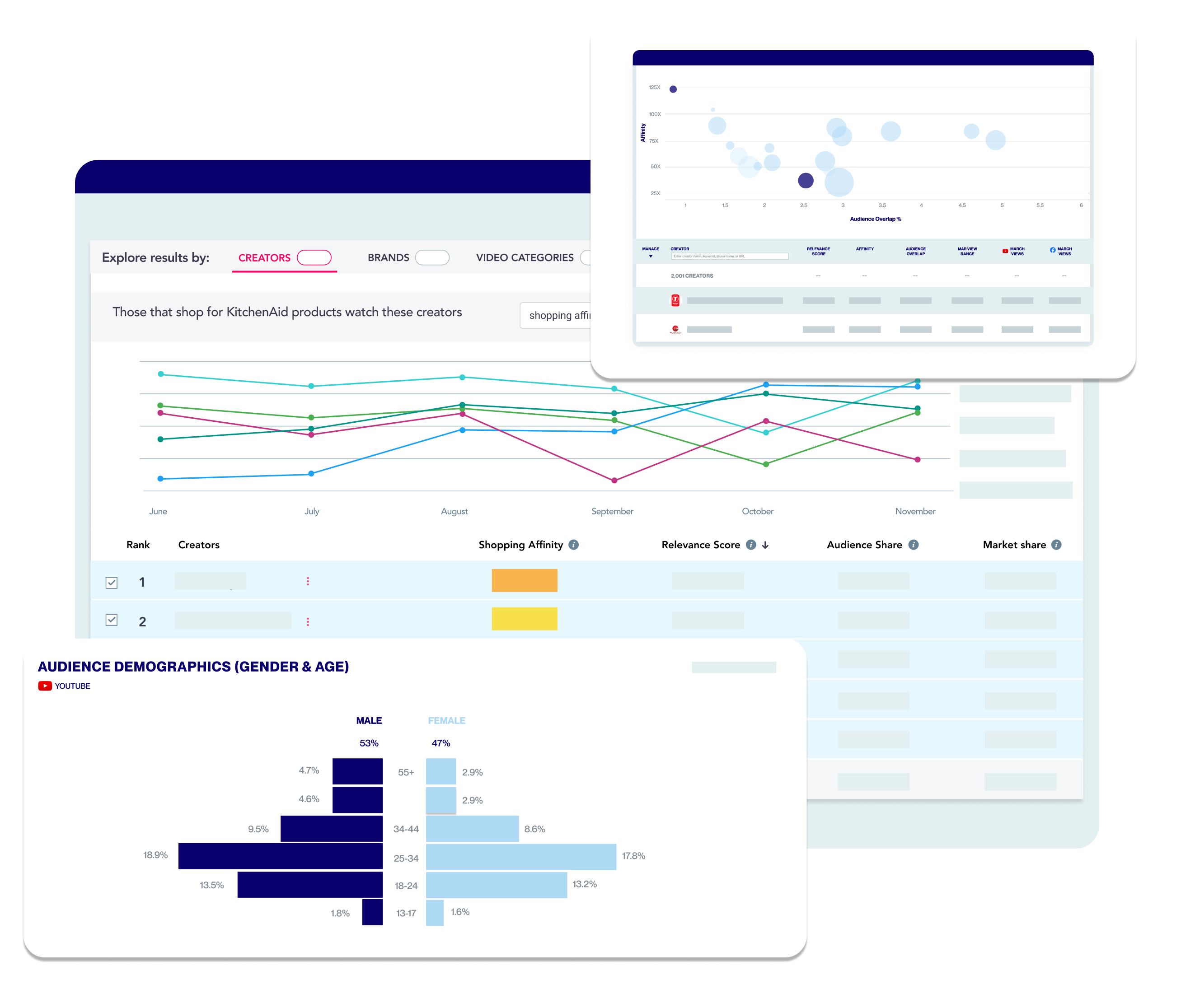 Demographics Consumer Insights