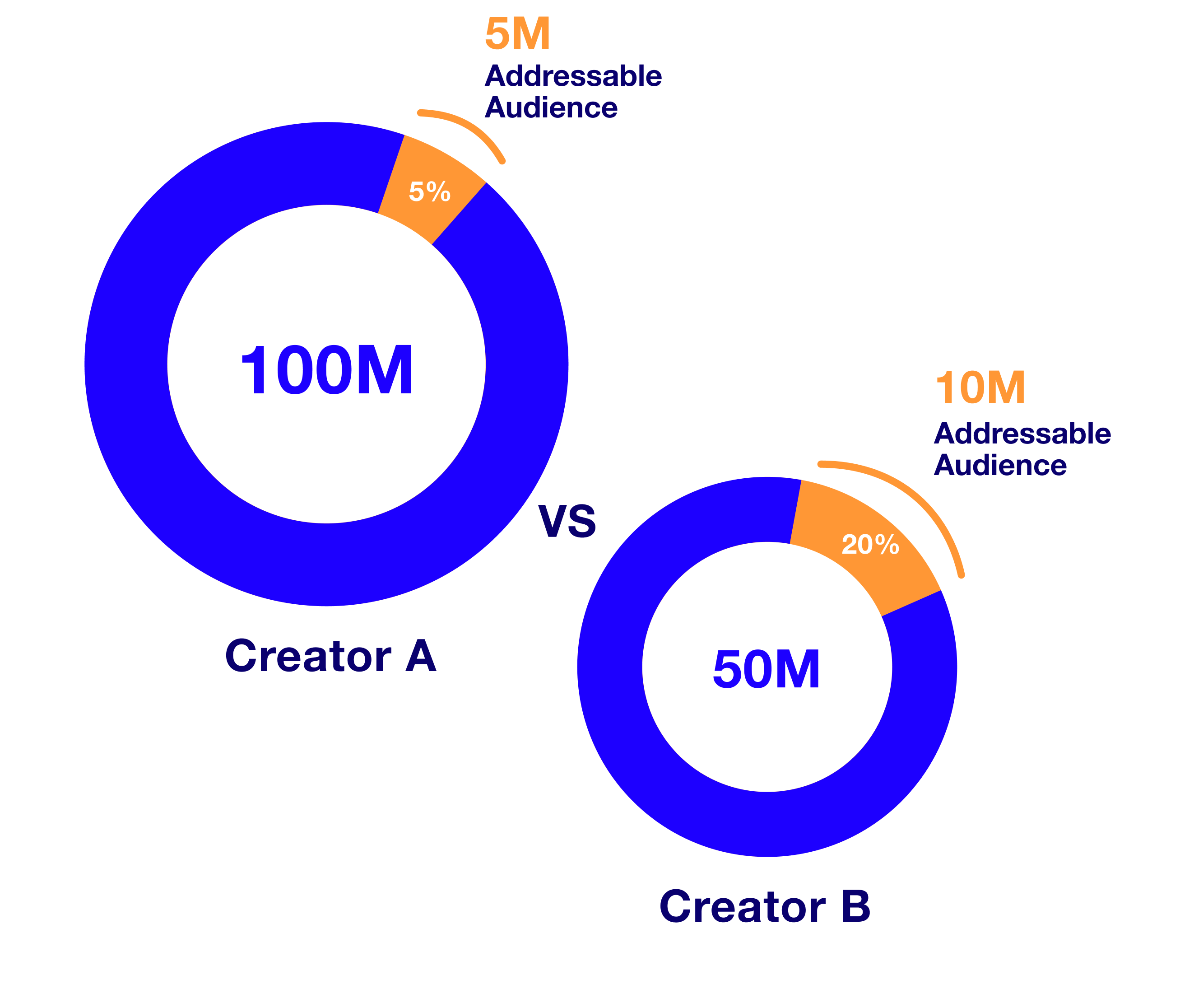 addressable audience consumer insights